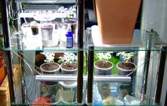 DSCF8797.2.webp