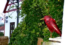 Roter Vogel_001.webp