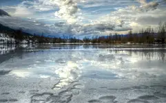 9.webp