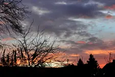 DSCN5817.webp