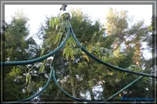 comp_DSC02611.webp