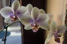 _DSC7631.webp