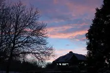 Vogelhaus am 12.1. früh +.webp