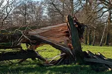 Sturmschaden4_1280.webp