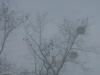 P1260912.webp