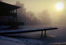 nebel2.webp
