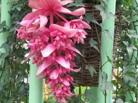 020.webp