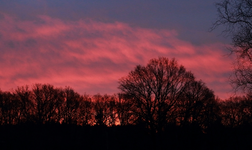 Morgenröte_dawn_red sky1_640.webp
