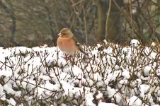 DSCF9791 (2).webp