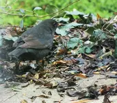 DSCF9797 (3).webp