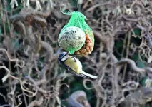 DSC_3348.webp