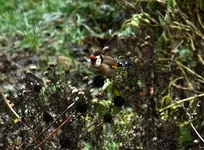 DSC_3370.webp