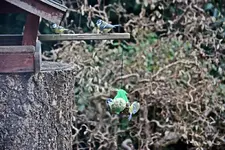 DSC_3402.webp