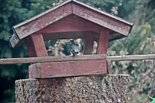 DSC_3409.webp