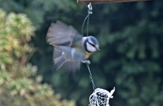 DSC_3422.webp