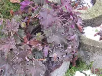 002_1024x768.webp