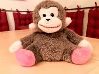 DSCN5521.webp