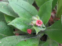 001_1024x768.webp