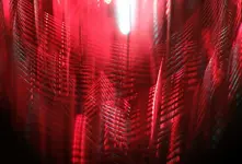red (36).webp
