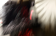 white (12).webp