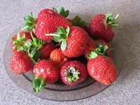 Copy of IMG_3674v.webp
