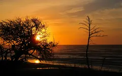 IMG_8539v.webp