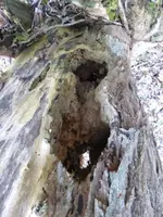P1260443.webp