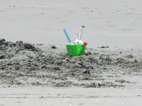 Rabbit Island 4.1.2015 (167)v.webp