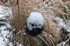 DSCF9819.webp