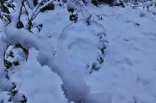 DSCF9855 (2).webp