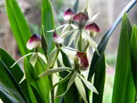 DSCN6702.webp