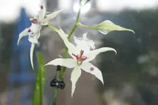 DSC02614.webp