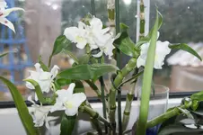 DSC02615.webp