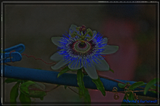 untitled_pregamma_1_ashikhmin_-eq2_local_0.5.webp