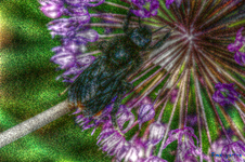 untitled_pregamma_1_mantiuk06_contrast_mapping_0.2_saturation_factor_1.17_detail_factor_32.2.webp