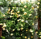 IMG_2654-001.webp
