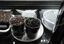 DSCN3556.2.webp