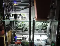 DSCN3553.2.webp