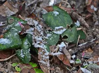 DSC_3445.webp