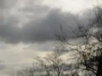 Bild 222.webp