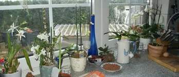 DSC02613-crop.webp