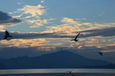 DSC_0134.webp