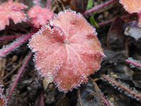 P1270028.webp