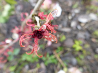 P1270032.webp