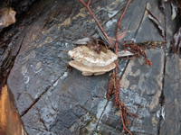 P1260920.webp