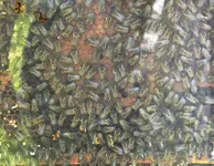 DSCN3540.webp