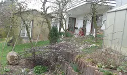 Blutpflaume_liegend1.webp
