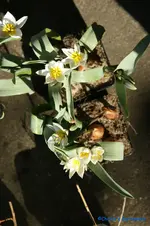 comp_DSC00928.webp