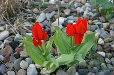 comp_DSC09390.webp