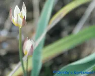 comp_DSC09392.webp